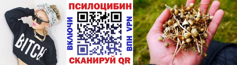 Псилоцибиновые грибы Magic Shrooms  OMG   Нелидово  где купить наркотик 